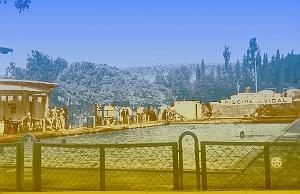 SAIDA 509  PISCINE MUNICIPALE